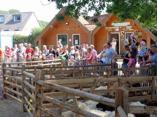Foto vom öffentlichen Schafschurfest in Weeze 2019