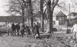 Work is undertaken on the park grounds of the old cemetery (Alter Friedhof) in the 1950's
