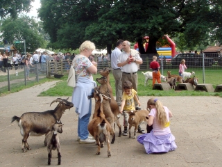 Eltern und Kinder beim Füttern von Ziegen im Tierpark Weeze