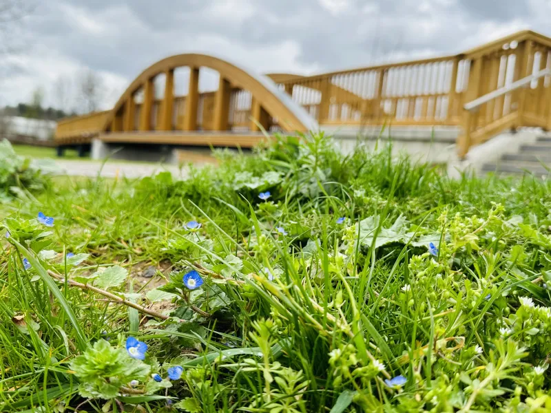 Ansicht der hölzernen Niersbrücke