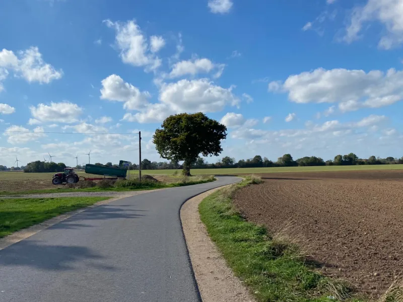 Eine Landstraße zwischen Feldern