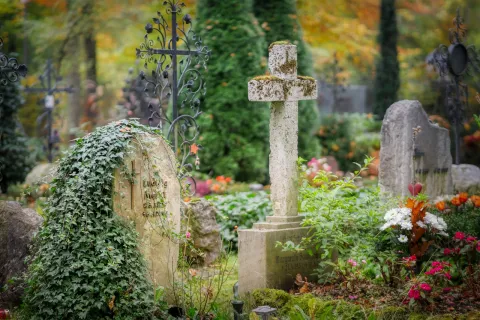 mehrere unterschiedliche Grabsteine auf einem begrünten Friedhof