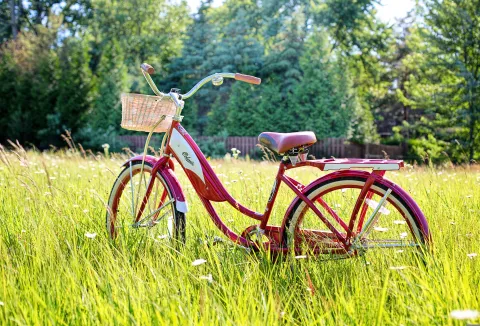 Ein rotes Fahrrad auf einer grünen Wiese.