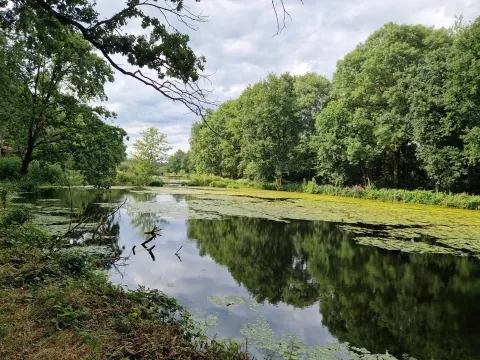 Landschaft Niederrhein